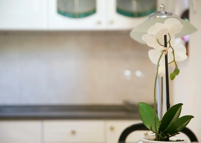 Luxury Apartment Ela *